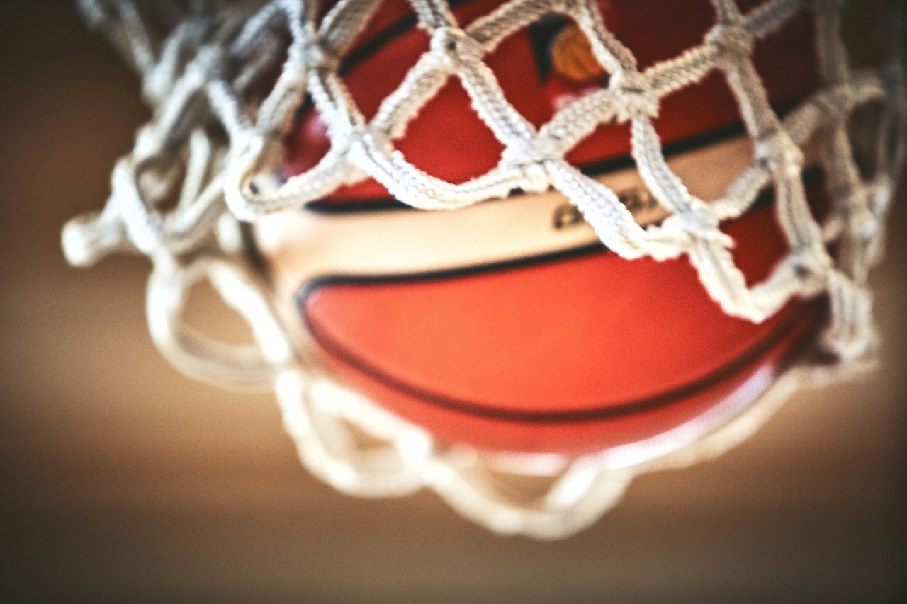https://tradematesports.com/blog-uploads/basketball-net.png
